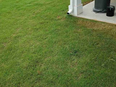 Lawn Care service in Travelers Rest, 29690