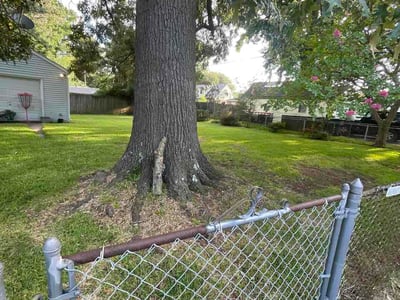 Lawn Care service in Bell Gardens, 90201
