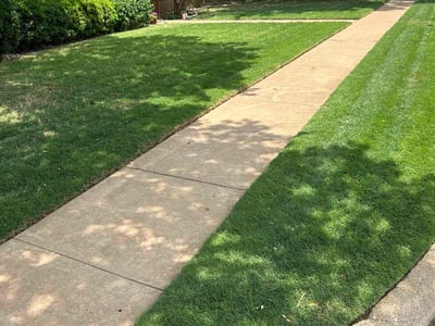 Lawn Care service in ,