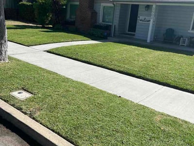 Lawn Care service in Cerritos, 90703