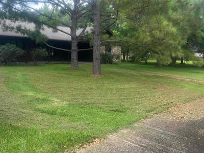 Lawn Care service in Rockville Centre, 11570