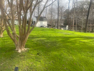 Lawn Care service in Charles City, 23030