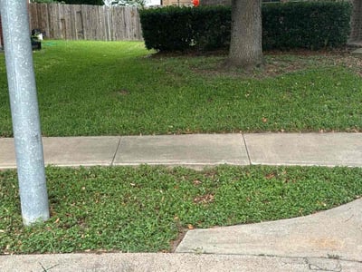 Lawn Care service in Bell Gardens, 90201