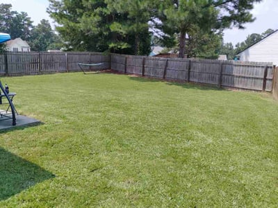 Lawn Care service in Cerritos, 90703