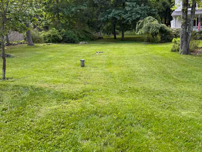 Lawn Care service in Westfield, 07090