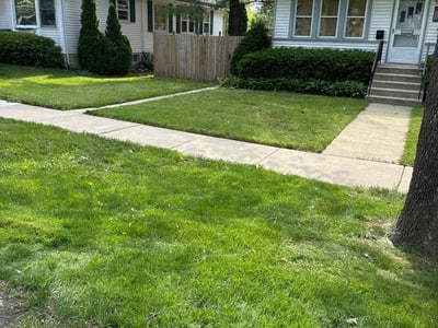 Lawn Care service in Westmont, 60559