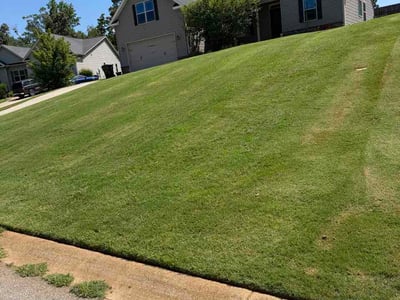 Lawn Care service in Pelzer, 29669