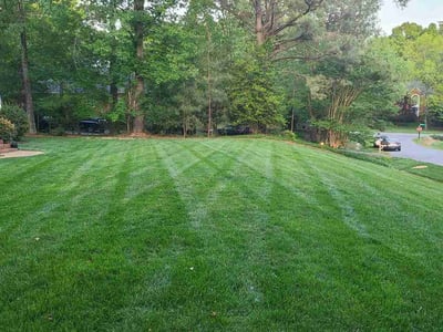 Lawn Care service in Chesterfield, 23832