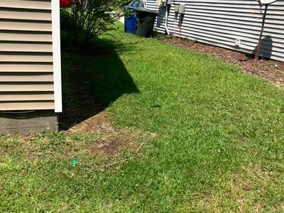 Lawn Care service in Gaston, 29053