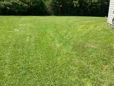 Lawn Care service in Gaston, 29053