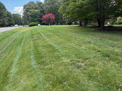 Lawn Care service in Chesterfield, 23832