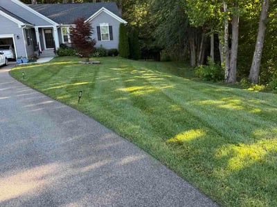 Lawn Care service in Chesterfield, 23832