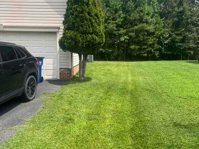 Lawn Care service in Chesterfield, 23832