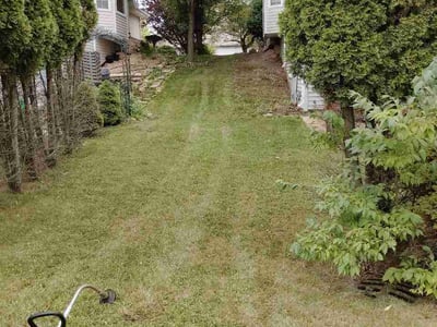 Lawn Care service in Romeoville, 60446