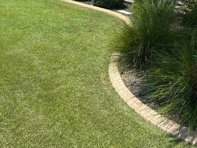 Lawn Care service in Chapin, 29036