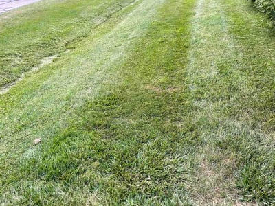 Lawn Care service in Warrenville, 60555