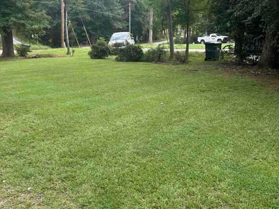 Lawn Care service in Chapin, 29036