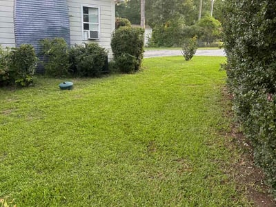 Lawn Care service in Chapin, 29036