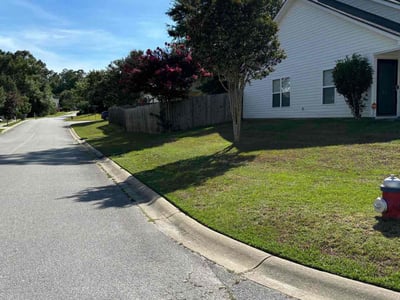 Lawn Care service in Chapin, 29036