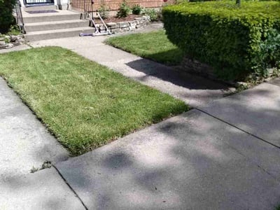 Lawn Care service in Warrenville, 60555