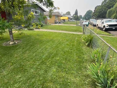 Lawn Care service in Anacortes, 98221