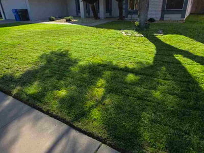 Lawn Care service in ,