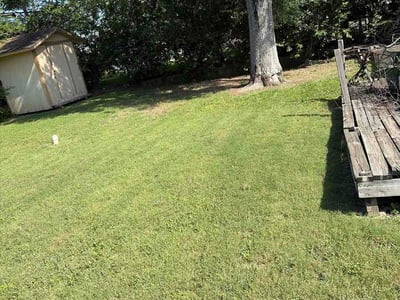 Lawn Care service in Universal City, 78148