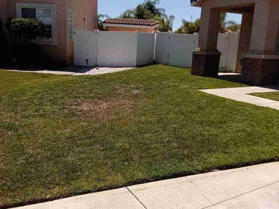 Lawn Care service in Moreno Valley, 92557