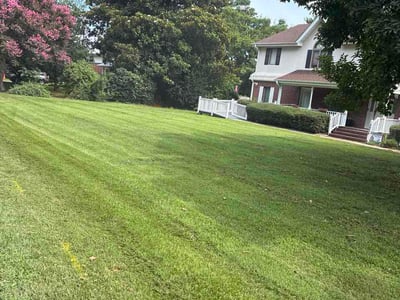Lawn Care service in Branson, 65616