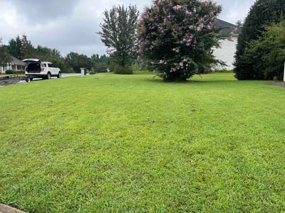 Lawn Care service in Branson, 65616