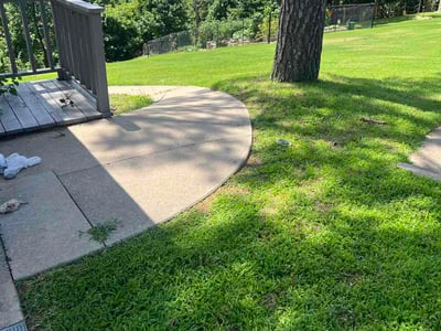 Lawn Care service in Rogers, 72756