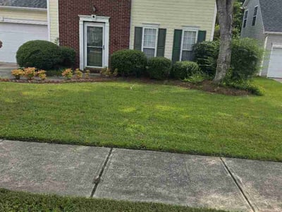 Lawn Care service in Lexington, 29072