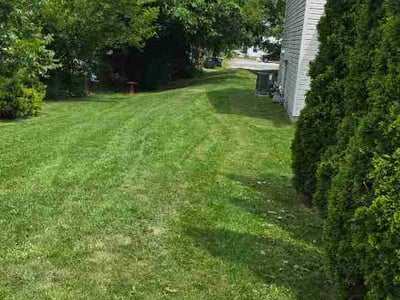 Lawn Care service in Lebanon, 17042