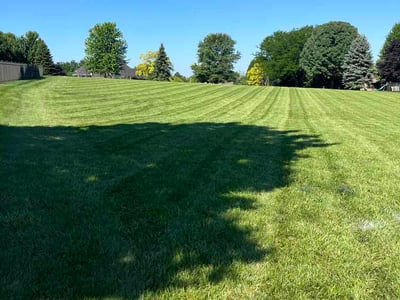 Lawn Care service in Oswego, 60543