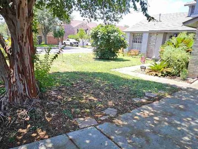 Lawn Care service in Universal City, 78148