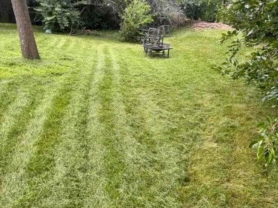 Lawn Care service in Oswego, 60543