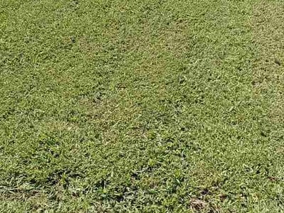 Lawn Care service in Roy, 84067