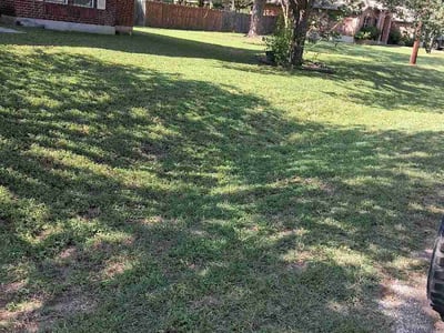 Lawn Care service in ,