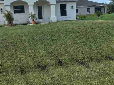 Lawn Care service in Coolidge, 85128
