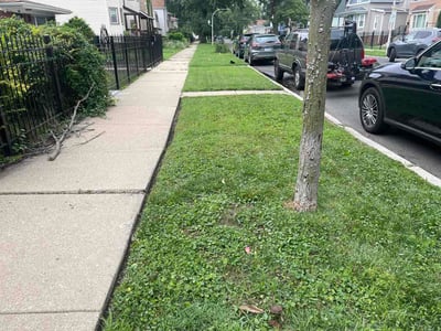 Lawn Care service in Hanover Park, 60133