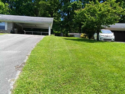 Lawn Care service in ,