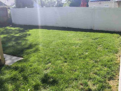 Lawn Care service in Jersey City, 07302