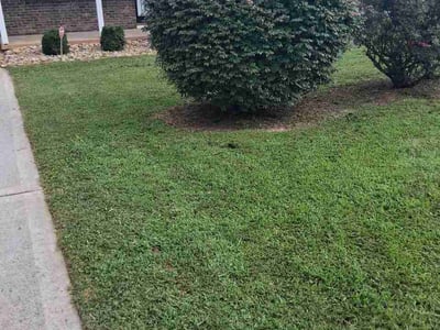 Lawn Care service in Knoxville, 37902