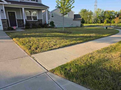 Lawn Care service in Tehachapi, 93561