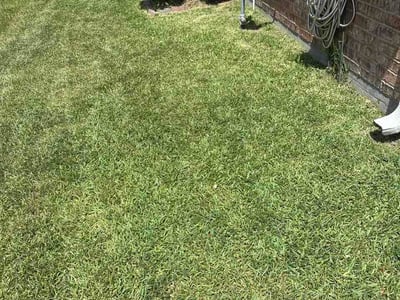 Lawn Care service in Tomball, 77375