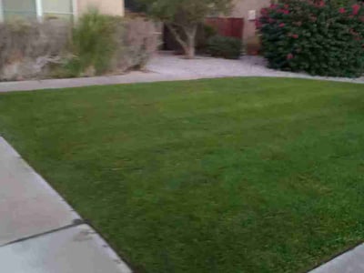 Lawn Care service in Inland Empire, 92262
