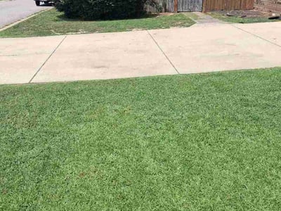 Lawn Care service in Blythewood, 29016
