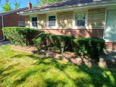 Lawn Care service in Elmont, 11003