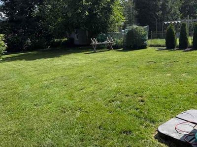 Lawn Care service in Paterson, 07505