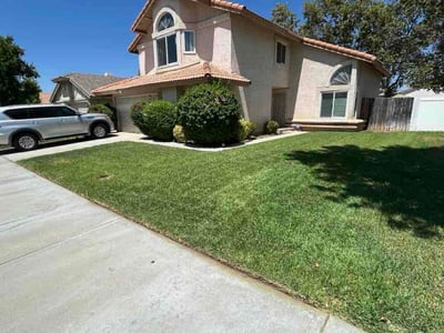 Lawn Care service in Big Bear Lake, 92315
